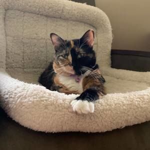 Meet your Posher, Paula